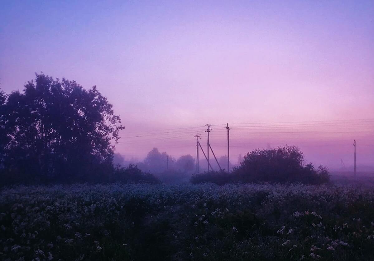 刚刚曝出：压不住每日大赛流量起飞，谁在说谎？